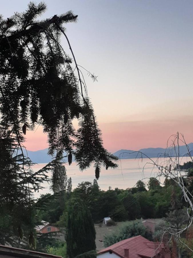 Villa Karolina Ohrid Extérieur photo