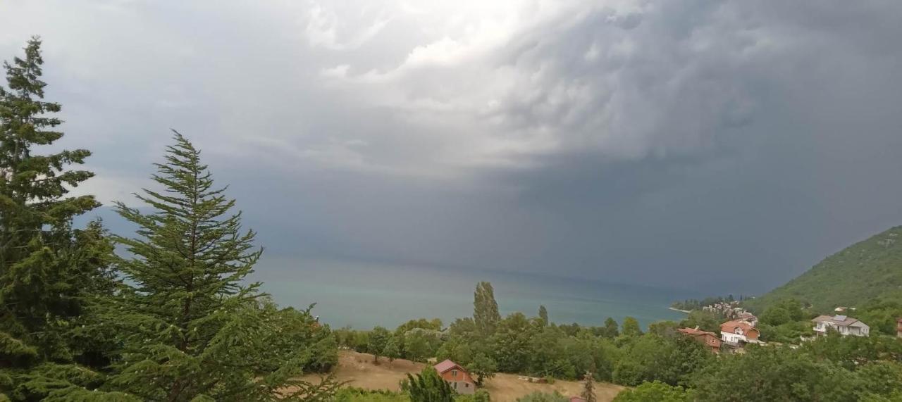 Villa Karolina Ohrid Extérieur photo