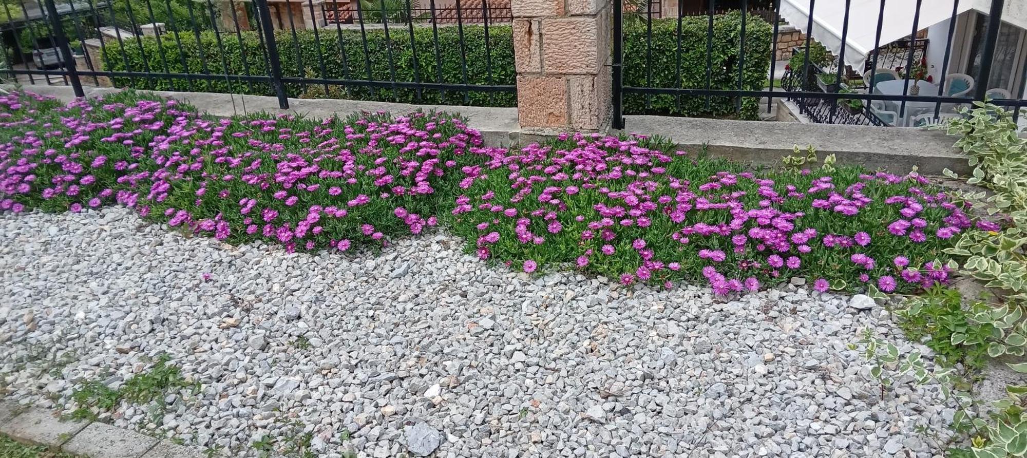 Villa Karolina Ohrid Extérieur photo